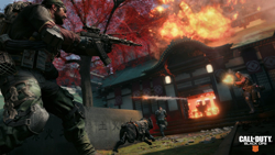 Call of Duty Black Ops 4 PS4 Oyun. ürün görseli
