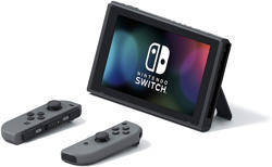 Nintendo Switch Gri. ürün görseli