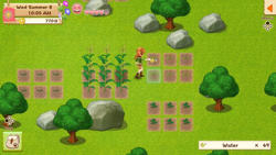 Harvest Moon Light of Hope Nintendo Switch Oyun. ürün görseli
